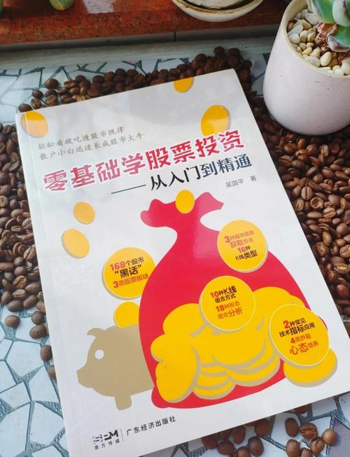 股票投资入门指南_股票怎么买新手入门_股票基础知识介绍