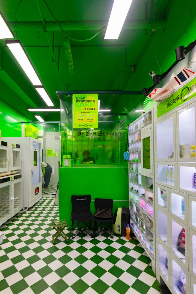 上海宠幸宠物用品有限公司怎么样_上海宠物经济_高端宠物店体验