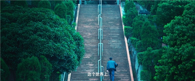  股票投资风险识别 _金钱堡垒 股市避坑指南 金融犯罪电影 _配资平台开户炒股