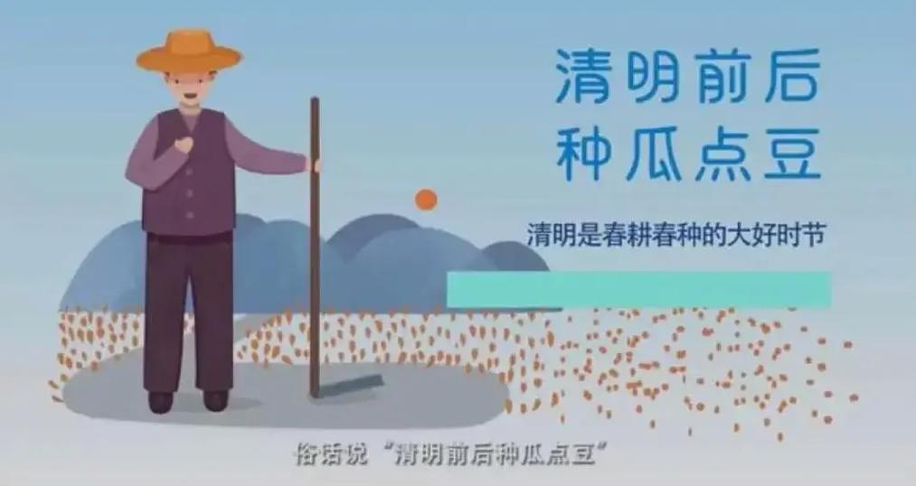 淘宝阳台种菜报告_淘宝卖得好的农产品_淘宝香菜种子销量