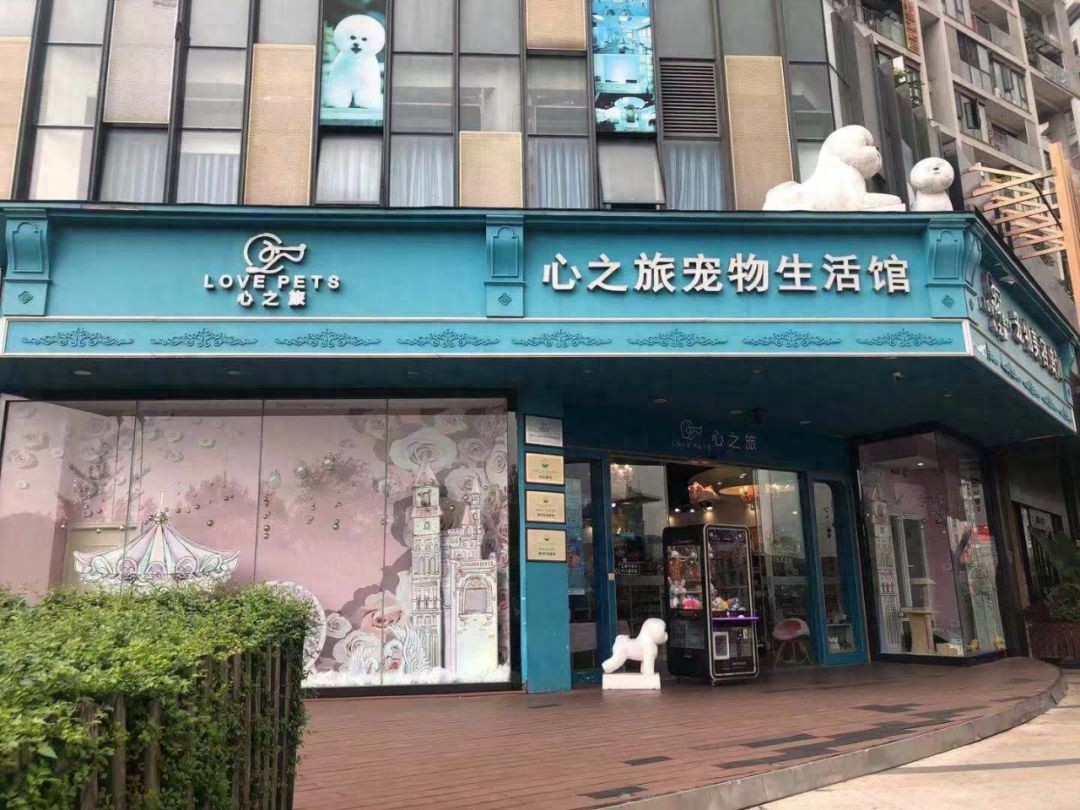 都说开宠物店不易，心之旅却能连锁多家，它是如何做到的？
