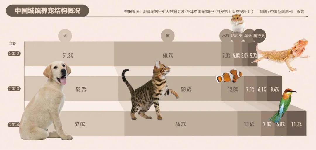 _ 宠物店跑路维权事件 _宠物店有选址要求吗