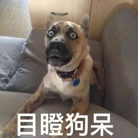 场外配资风险_免息炒股配资_高杠杆炒股危害