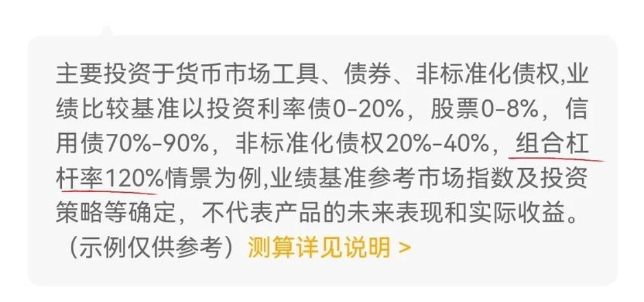 股票杠杆率怎么计算？对投资者风险管理有何影响？