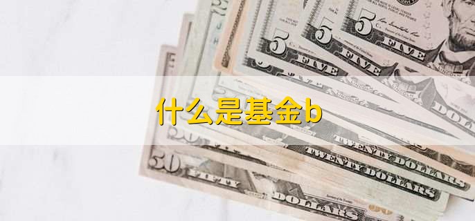 基金B是什么？基金近一年收益率51%又意味着什么？