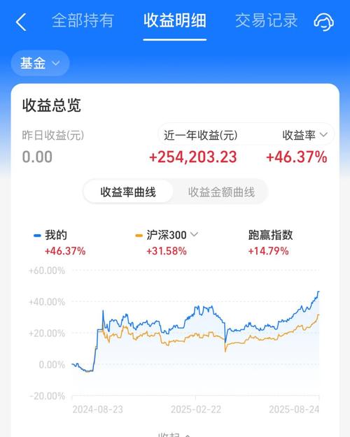 货币b基金是什么意思_基金B系列_基金B类别