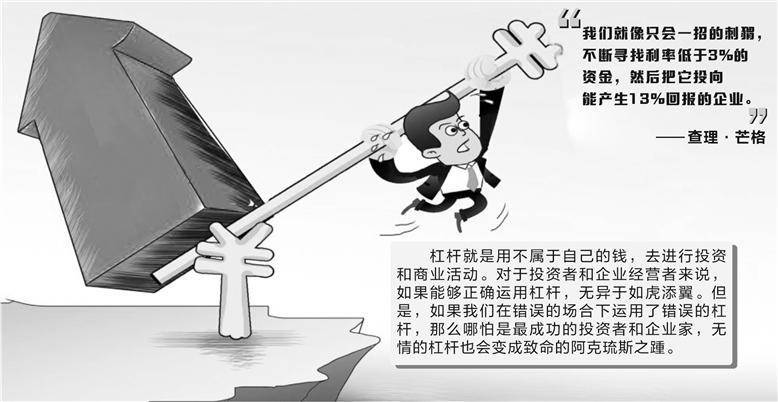 金融杠杆稳定性分析_不同类型杠杆资金来源区别_股票杠杠