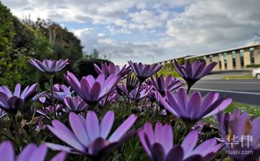 土地承包已到期怎么办