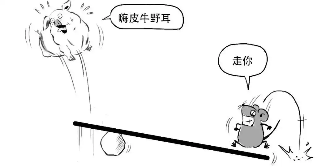 融资融券是什么意思_融资交易详解_融资融券是什么