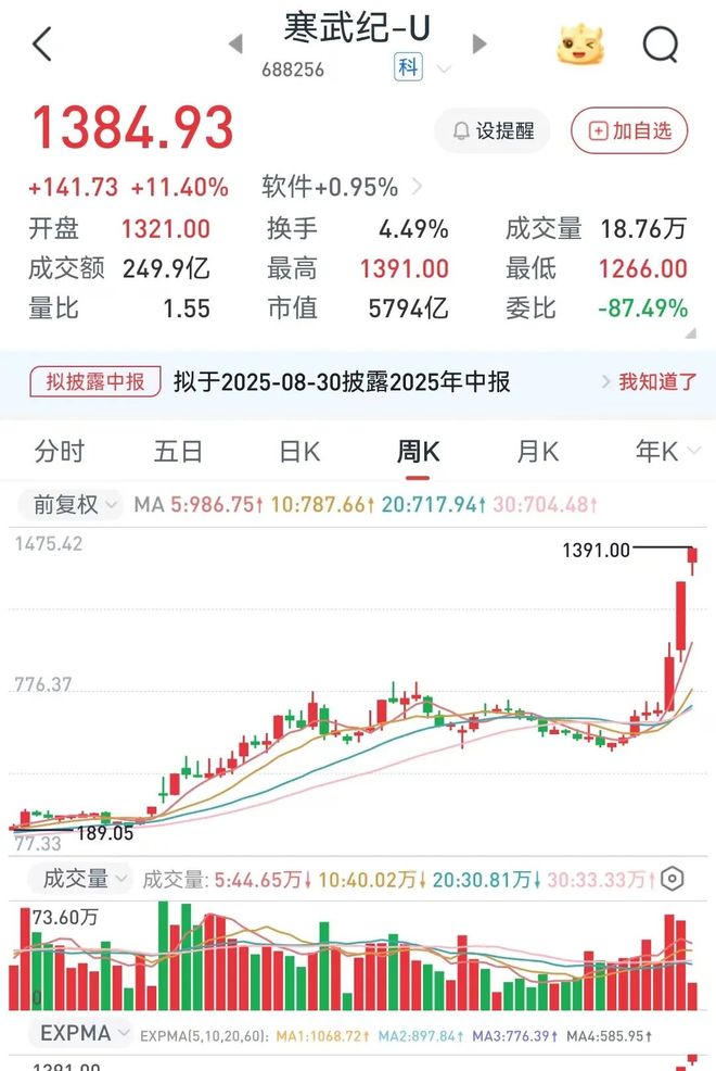 A股散户投资价值_股票正规配资公司_寒武纪股价分析