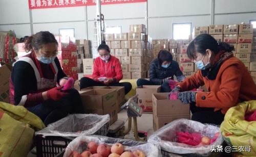 做代理小本致富来年_农村小本创业项目_回乡创业市场需求大项目