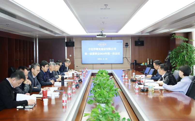 思源电气股份有限公司 董事会会议 聘任副总经理_上海思源电气股份有限公司首次公开发行股票招股说明书