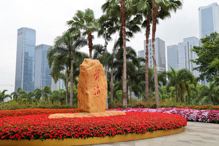 深圳地什么地方好赚钱_深圳改革开放发展历程_深圳经济特区45周年