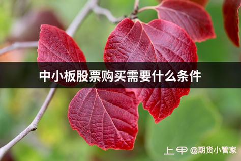 身份资质合规性要求股票开户_炒股如何开户_年龄民事行为能力股票开户