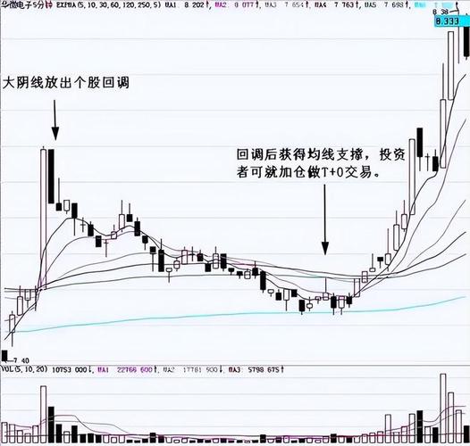 半仓操作逻辑_散户炒股亏损原因_炒股能赚钱吗